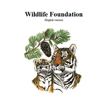 wf.ru / The Wildlife Foundation
